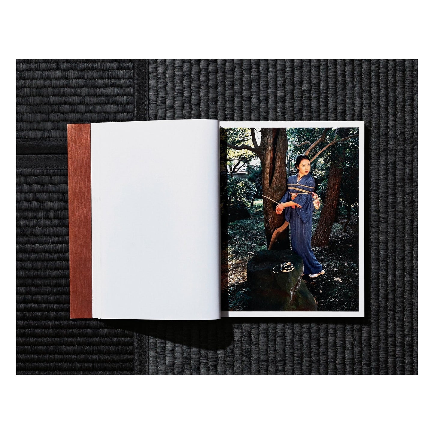 Araki. Bondage (German, French, English)