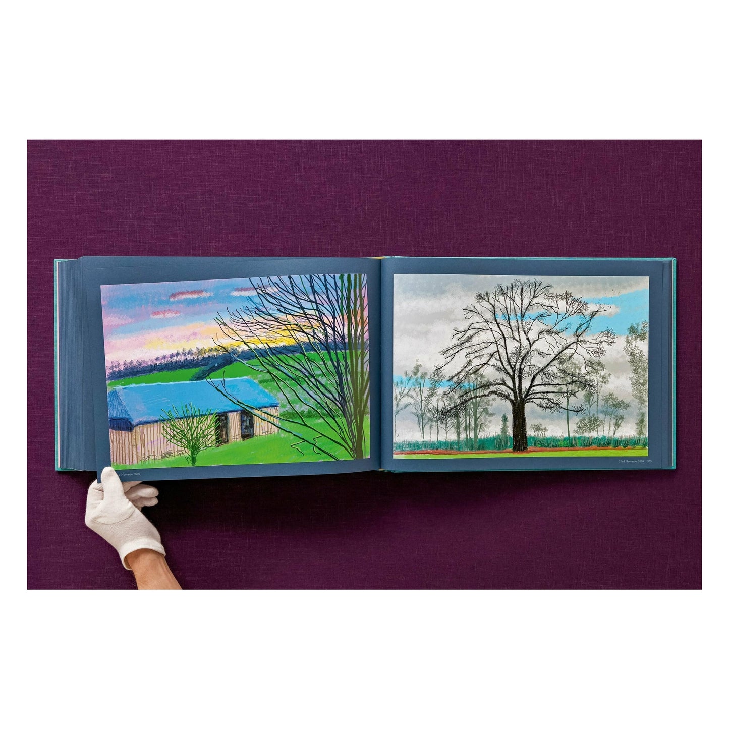 David Hockney. 220 for 2020 (English) (AP)