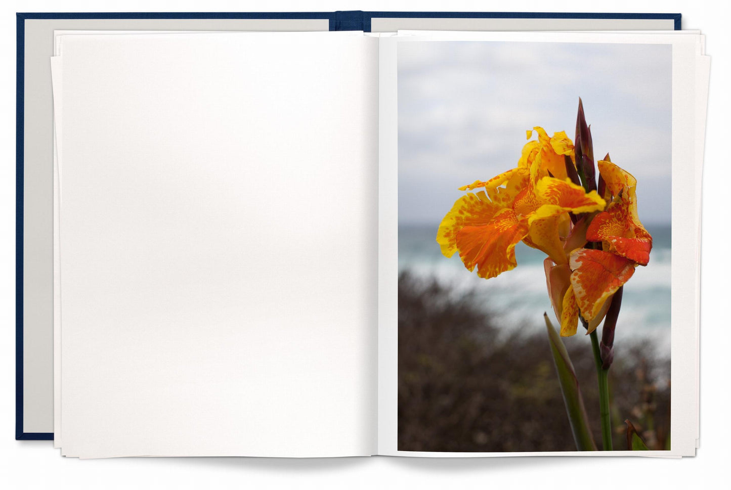 Wolfgang Tillmans. Neue Welt, Art Edition (German, French, English)