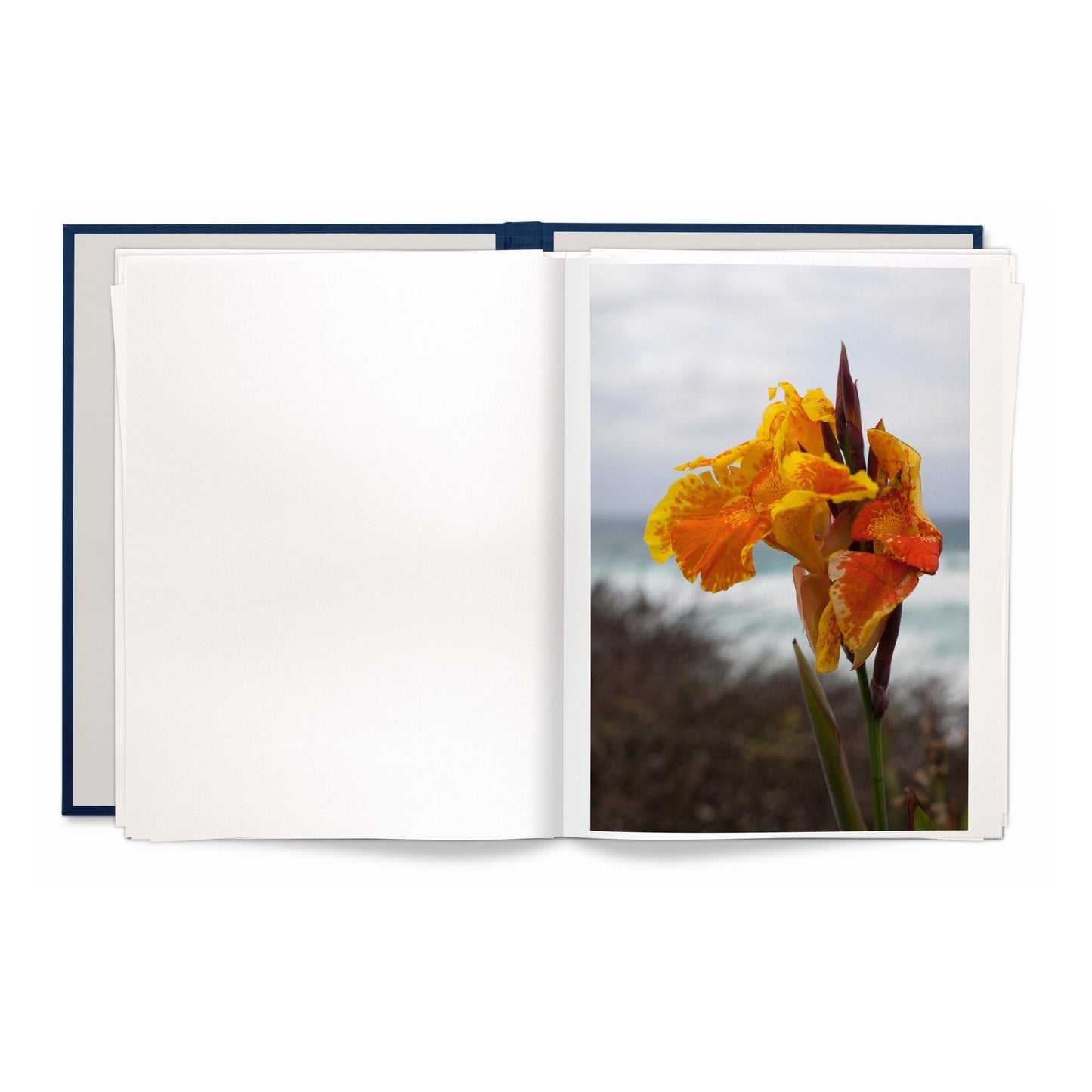 Wolfgang Tillmans. Neue Welt. Art Edition (German, French, English) (SA)