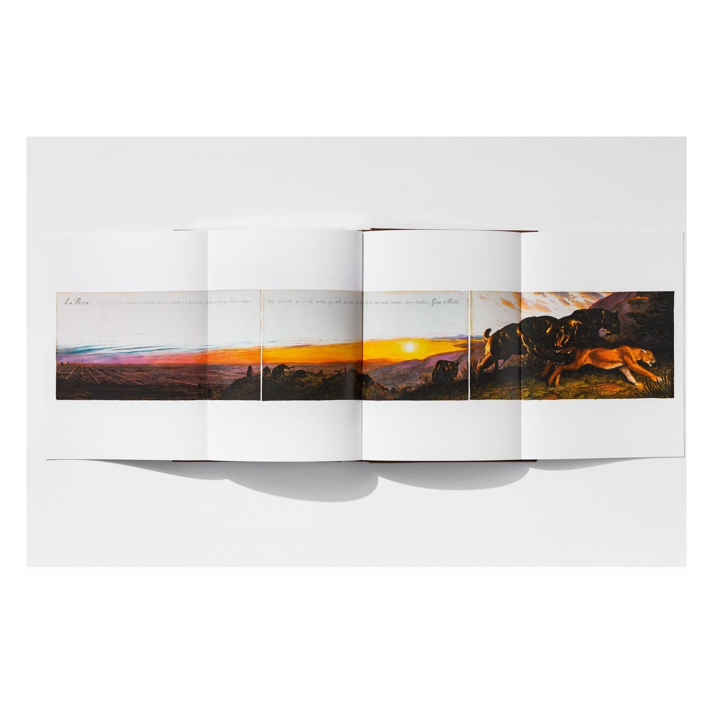 Walton Ford. Pancha Tantra. Art Edition No. 1–100 ‘Granary’ (German, French, English)