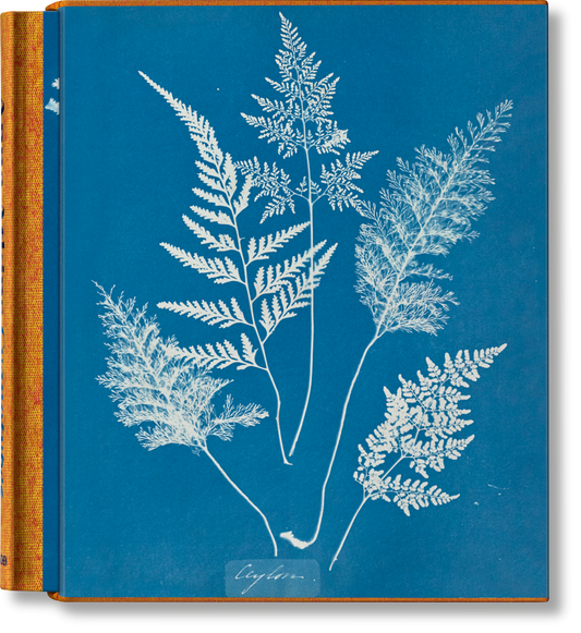 Anna Atkins. Cyanotypes (German, French, English)