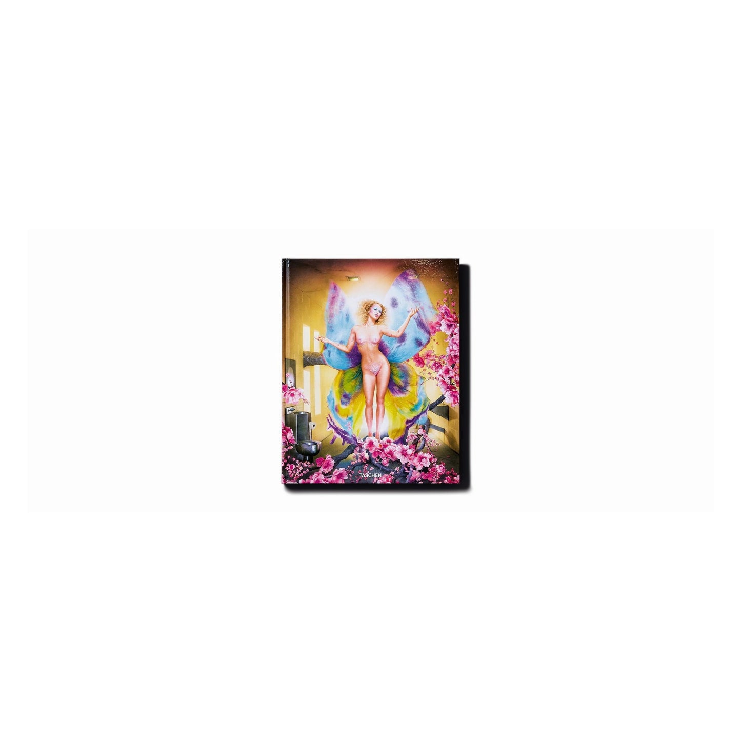 David LaChapelle. Lost and Found – Good News, Art Edition (German, French, English) (AP)