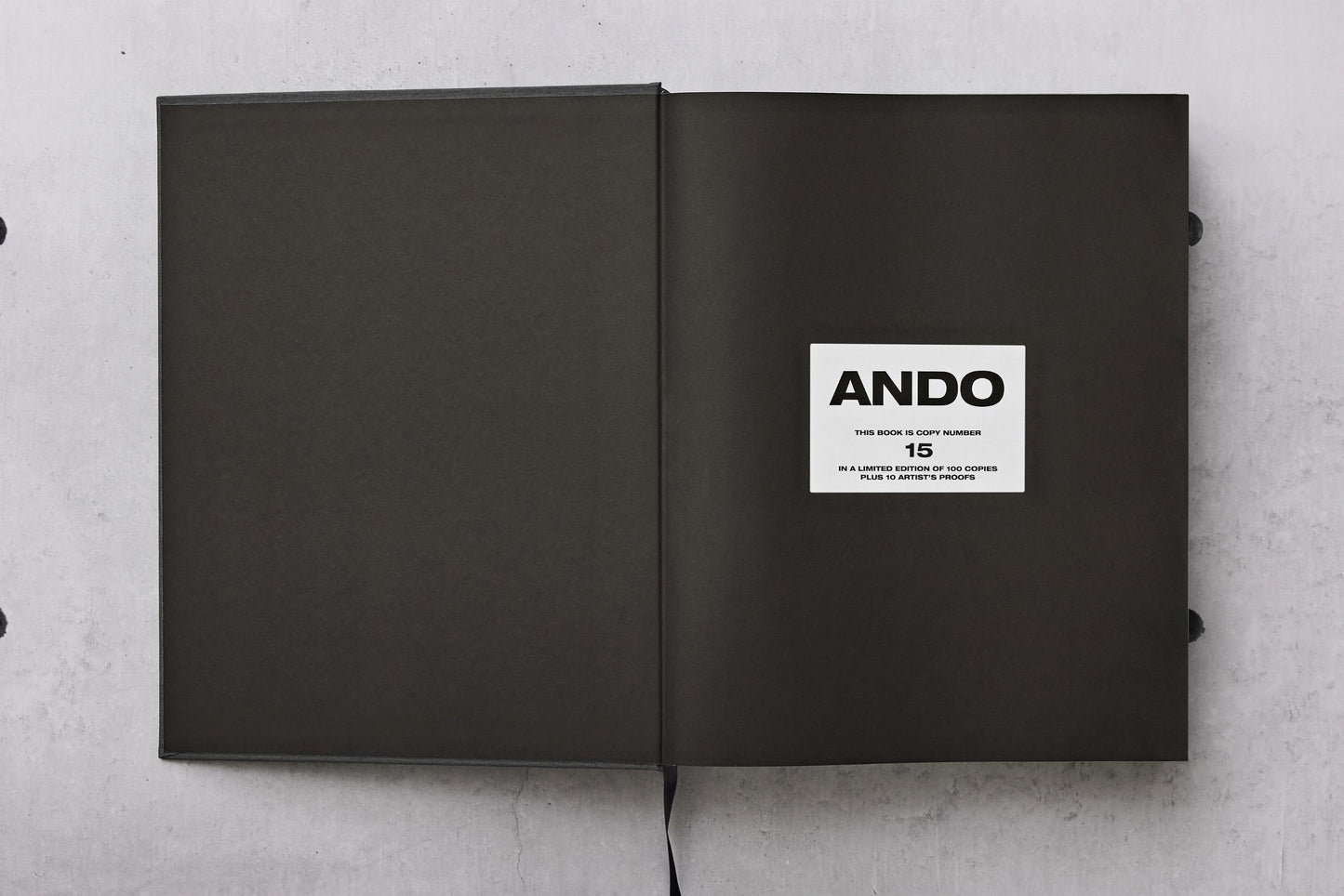 Ando. Complete Works 1975–Today. Art Edition (German, French, English) (SA)