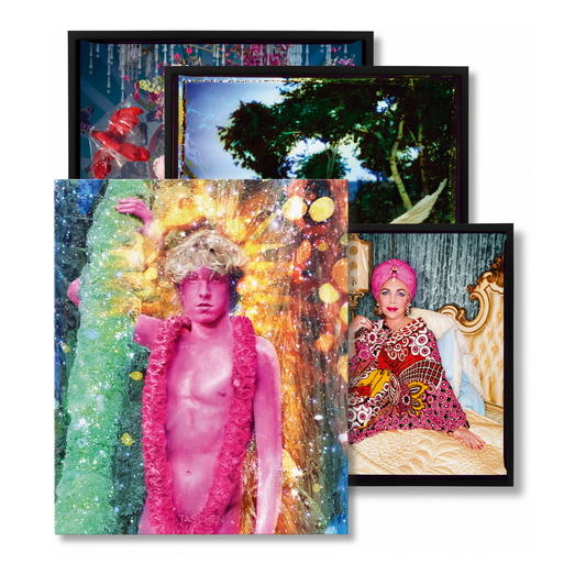 David LaChapelle. Lost and Found – Good News, Art Edition (German, French, English) (AP)