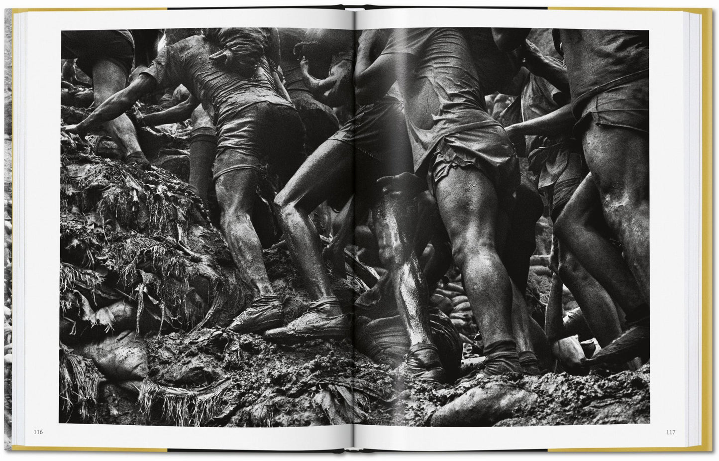 Sebastião Salgado. Gold (German, French, English)