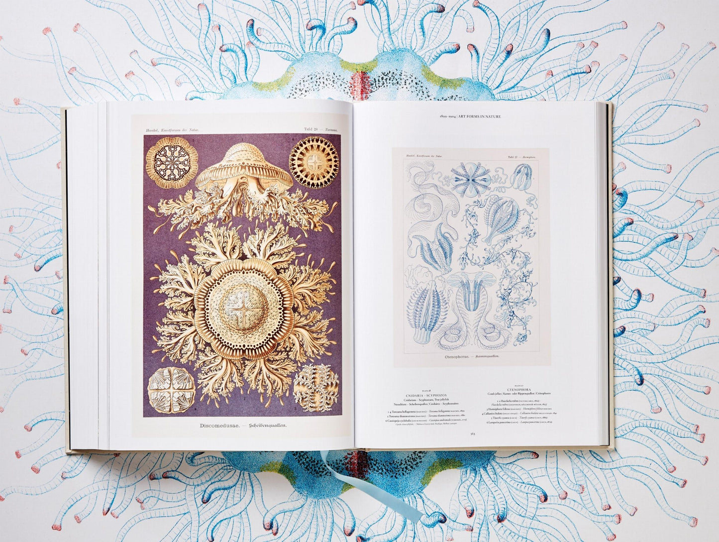 The Art and Science of Ernst Haeckel (German, French, English)