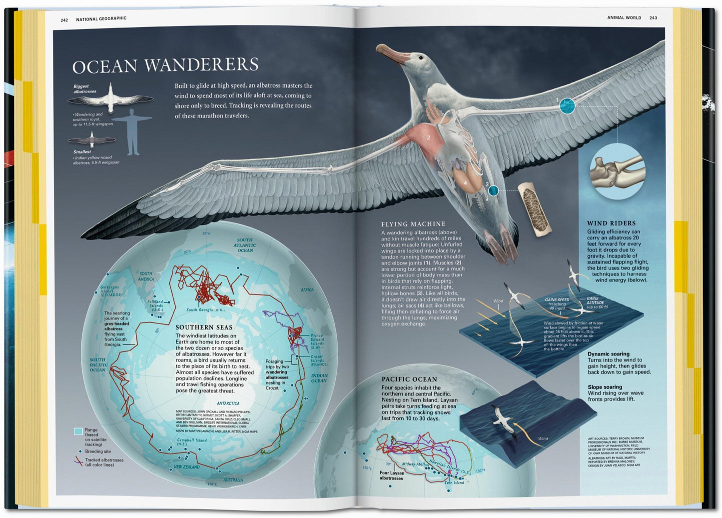 National Geographic Infographics (Spanish, Italian, Portuguese)