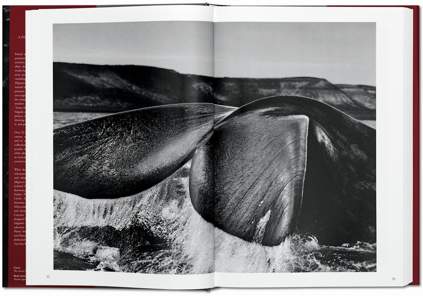 Sebastião Salgado. Genesis (English)