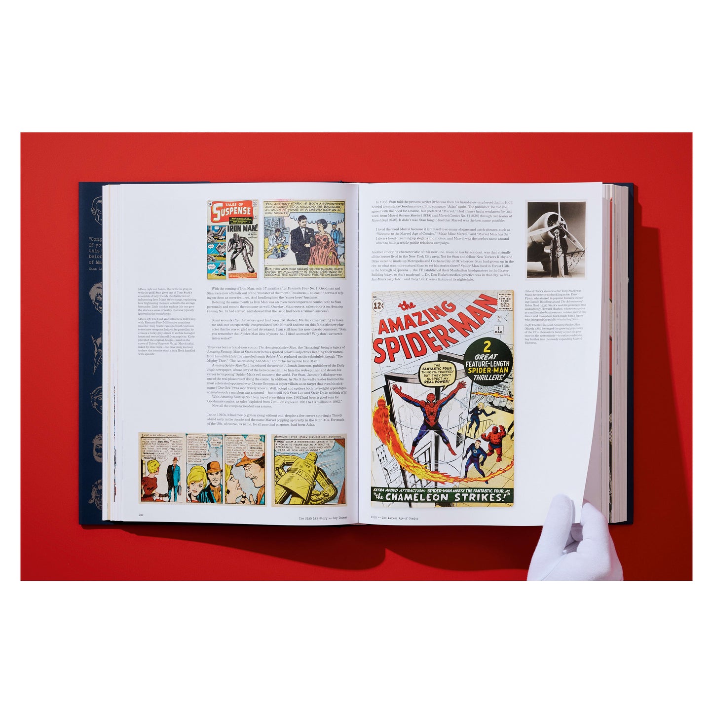 The Stan Lee Story (English)