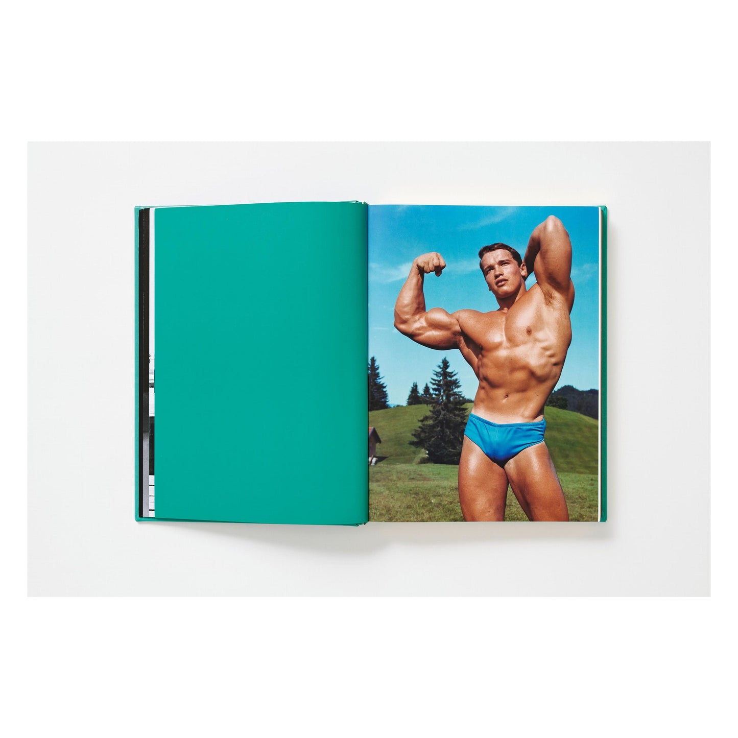 ARNOLD. Collector’s Edition (English)
