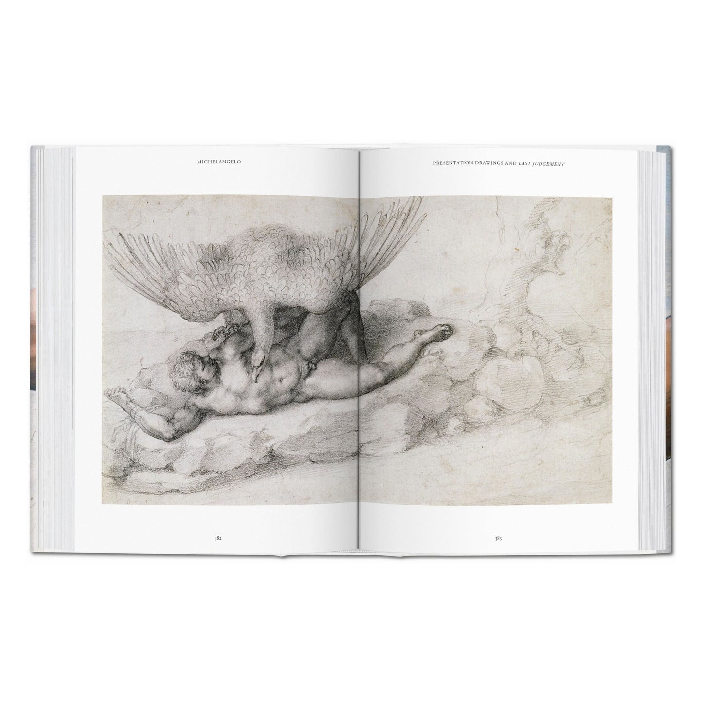 Michelangelo. The Complete Paintings, Sculptures and Architecture (English)