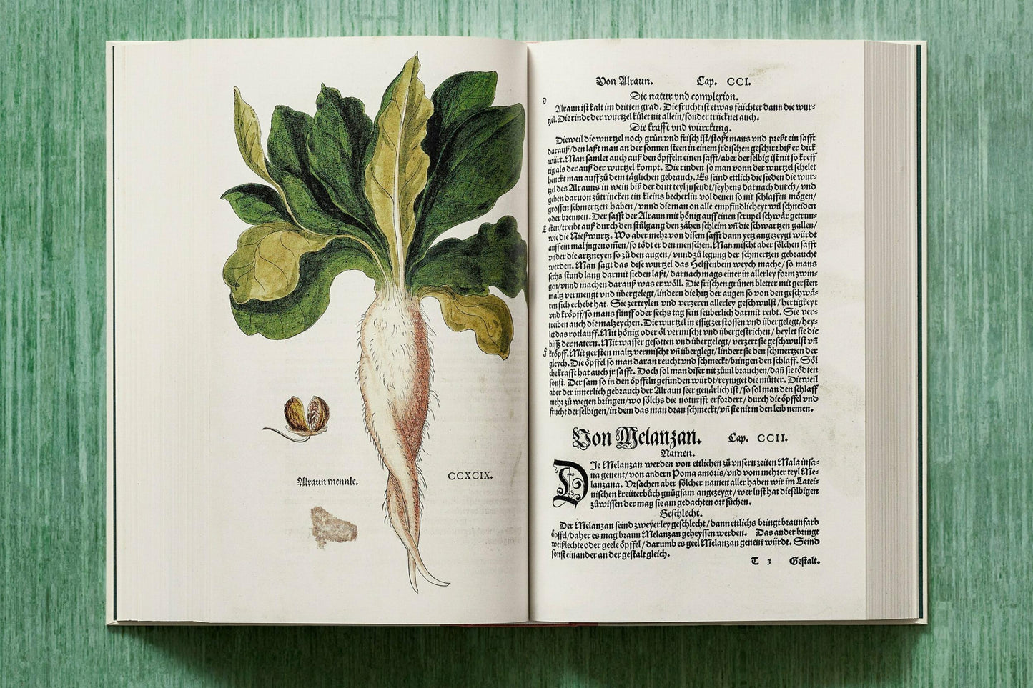 Leonhart Fuchs. The New Herbal (English)