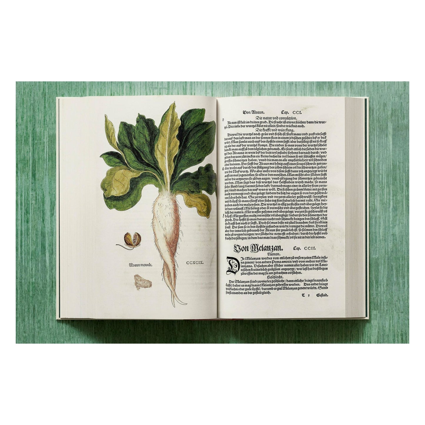 Leonhart Fuchs. The New Herbal (English)