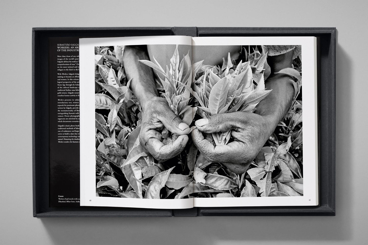 Sebastião Salgado. Workers. Art Edition No. 1–100 ‘Fishermen, Trapani, Italy, 1991’ (English) (SA)