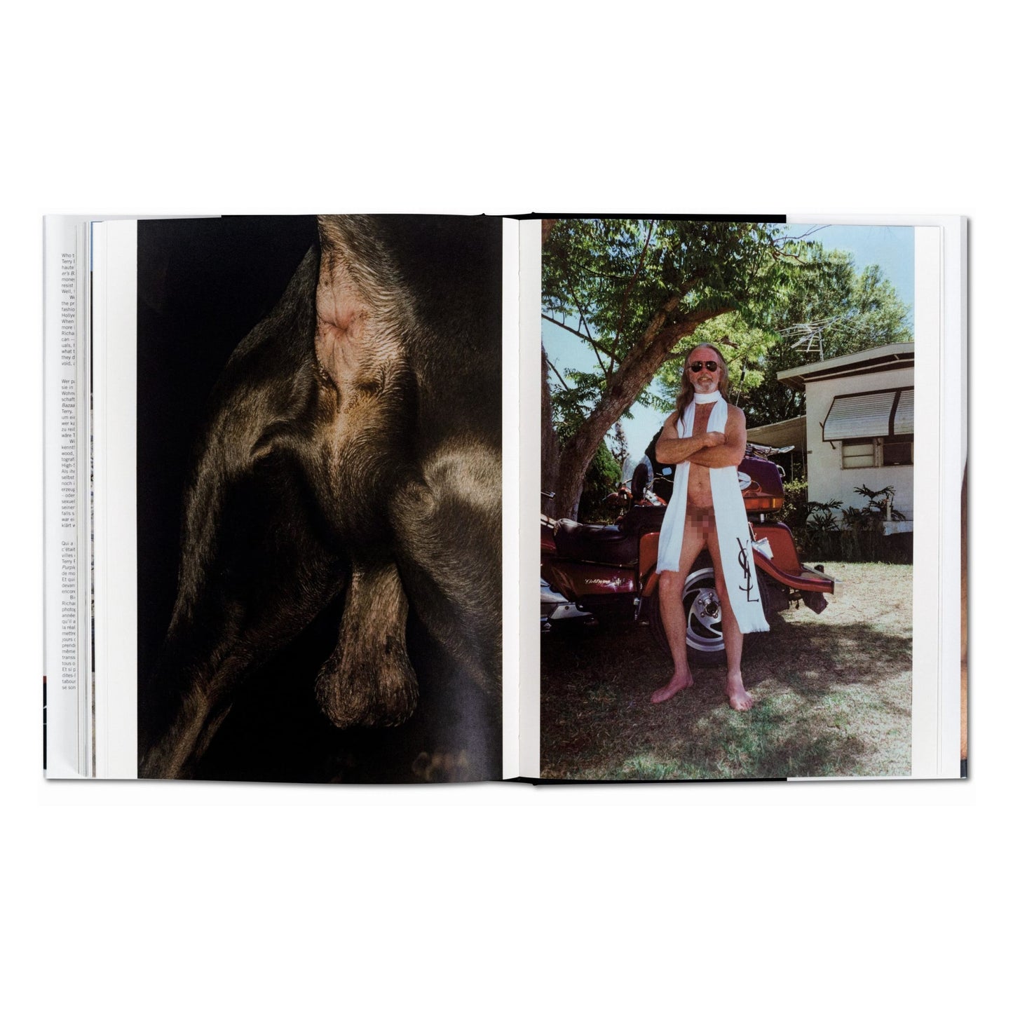Terry Richardson. Terryworld, Art Edition No. 751–1,000 ‘Asses’ (German, French, English)