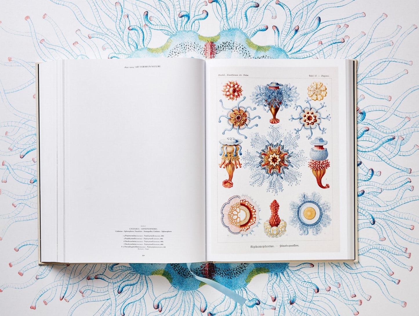 The Art and Science of Ernst Haeckel (German, French, English)