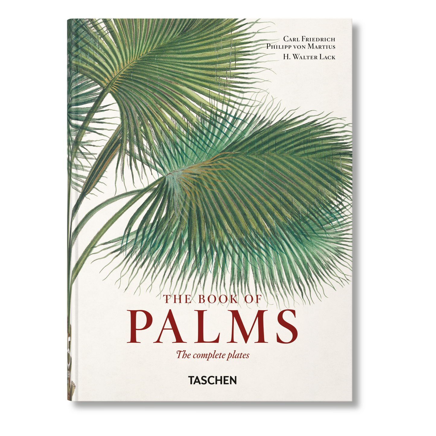 Martius. The Book of Palms. 45th Ed. (German, French, English)