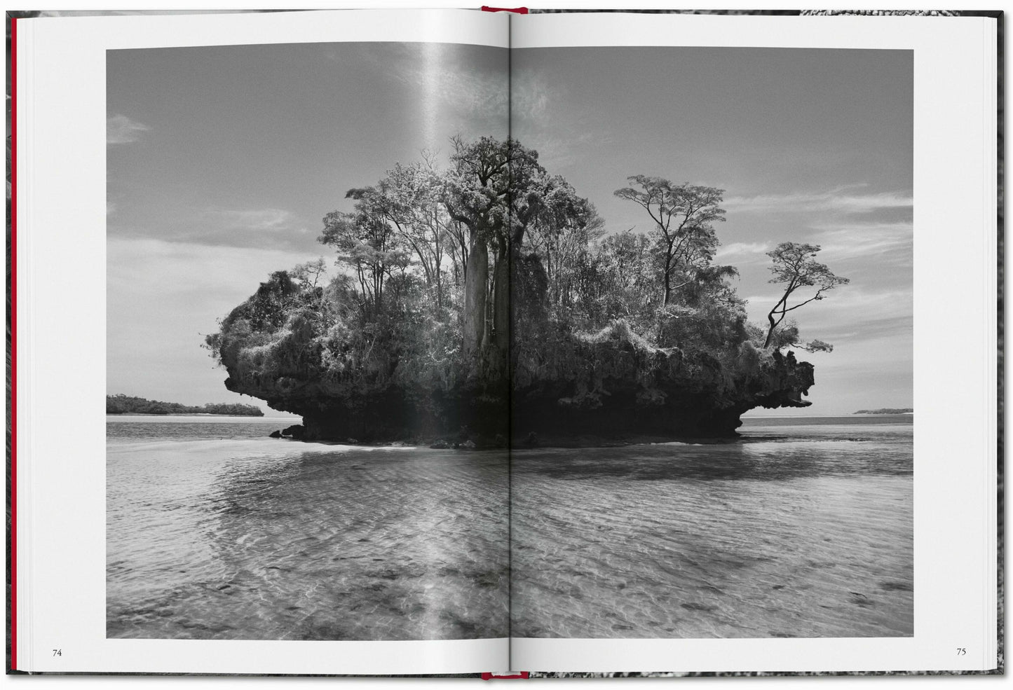 Sebastião Salgado. Genesis (French)