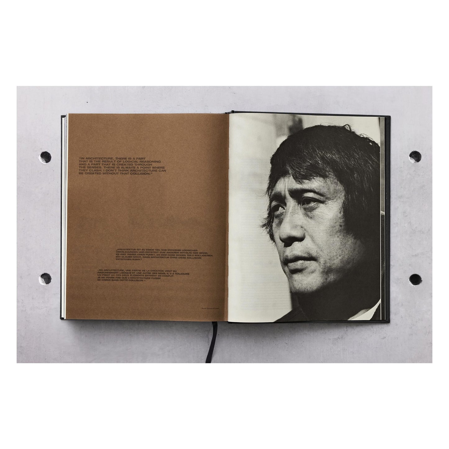Ando. Complete Works 1975–Today. Art Edition (German, French, English) (AP)