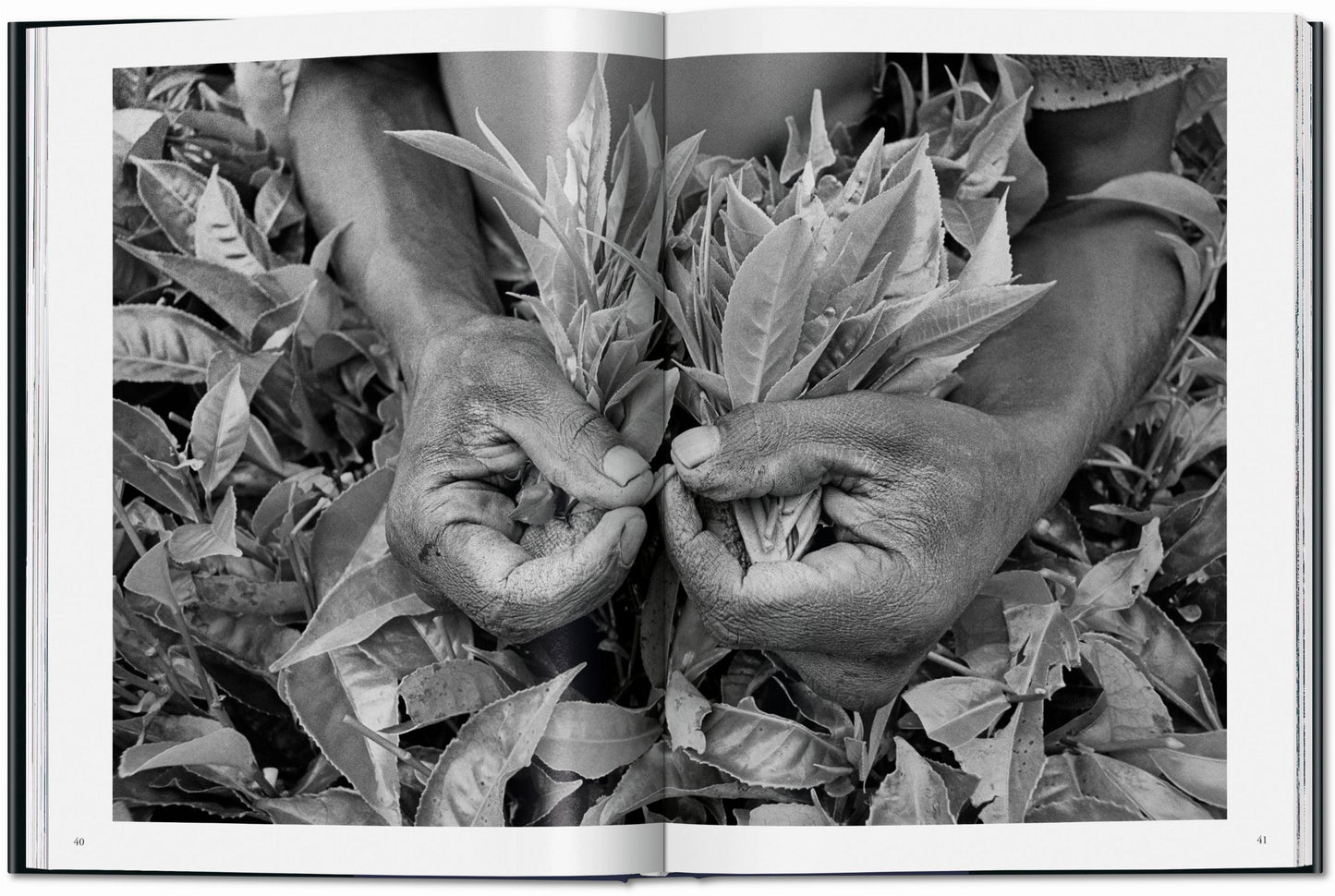 Sebastião Salgado. Trabajadores. Una arqueología de la era industrial (Spanish)