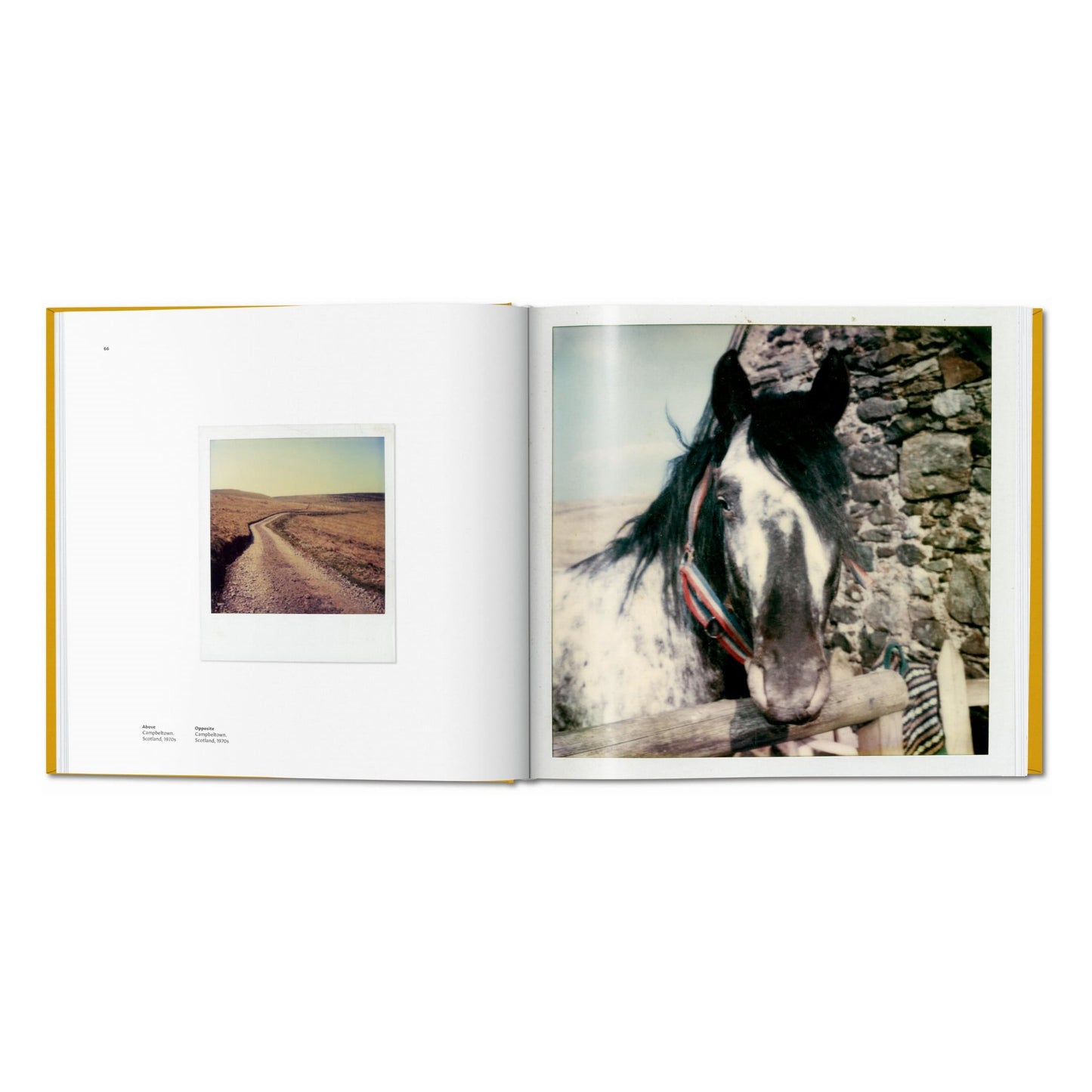 Linda McCartney. The Polaroid Diaries (German, French, English)
