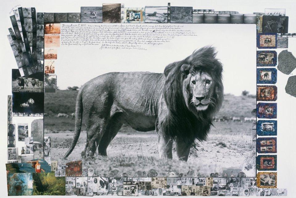 Peter Beard, Art Edition No. 1–125 ‘Fayel Tall’ (German, French, English)