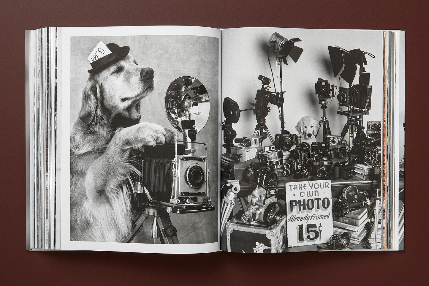 Bruce Weber. The Golden Retriever Photographic Society. Art Edition No. 1–100 ‘Little Bear Ranch, Montana, 1996’ (German, French, English) (AP)