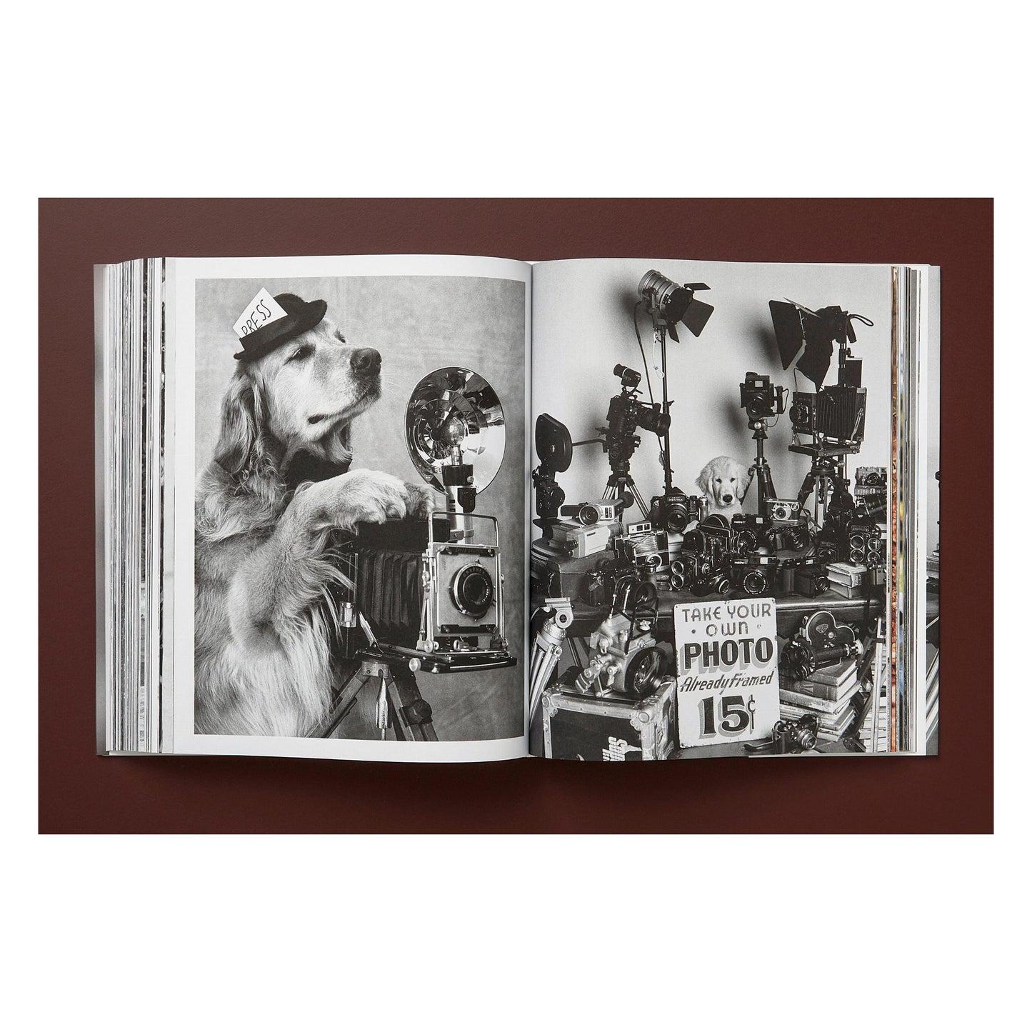 Bruce Weber. The Golden Retriever Photographic Society (German, French, English)