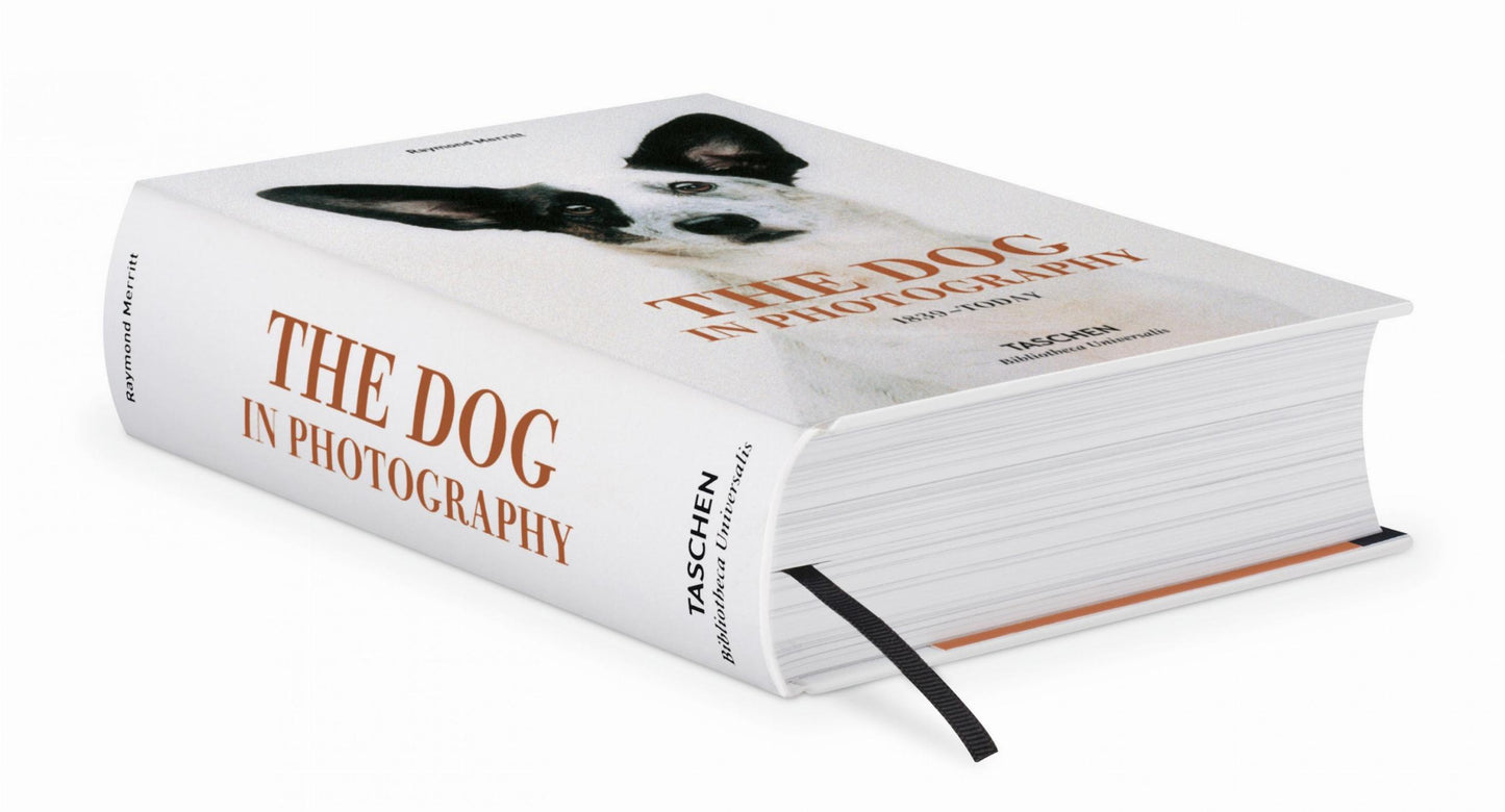 The Dog in Photography 1839–Today (German, French, English)