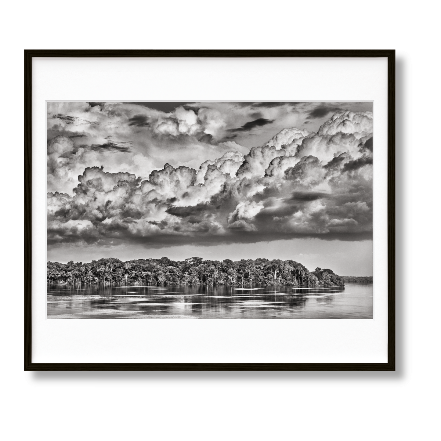 Sebastião Salgado. Amazônia, Art Edition No. 301–400 ‘The Paraná connecting the Rio Negro with the Cuyuní River’ (English)