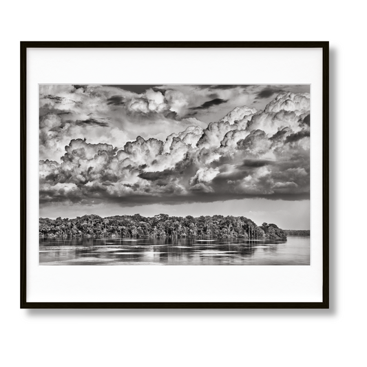 Sebastião Salgado. Amazônia. Art D (English) (AP)