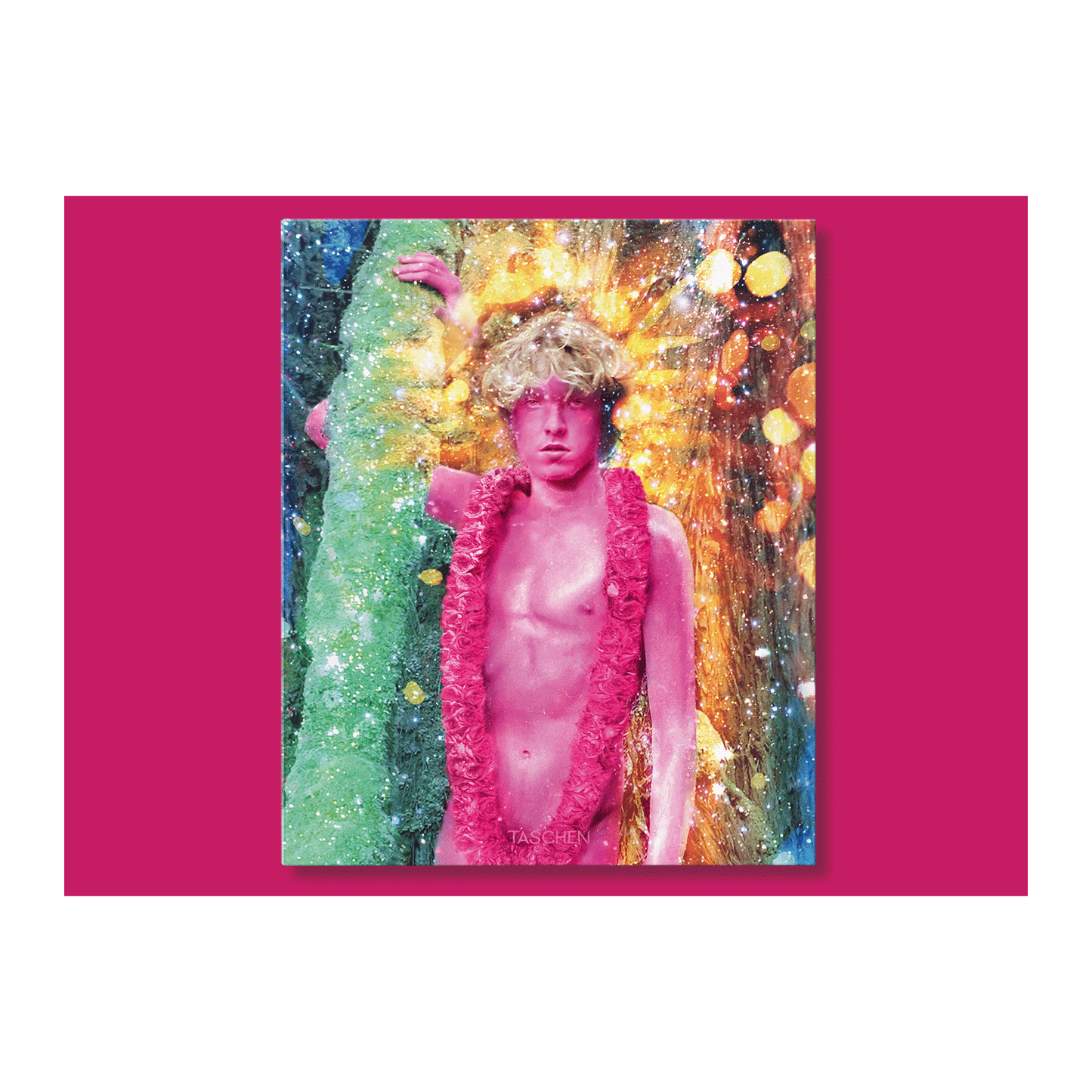 David LaChapelle. Lost and Found – Good News, Art Edition (German, French, English) (SA)