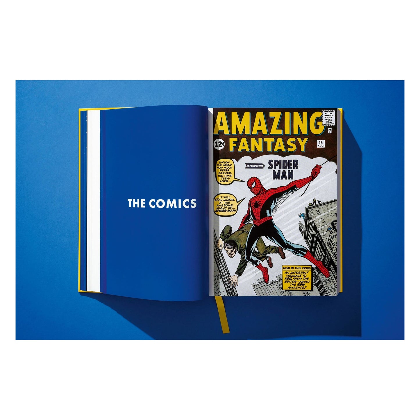 Marvel Comics Library, Spider-Man, Vol. 1, 1962-1964 (English) (AP)