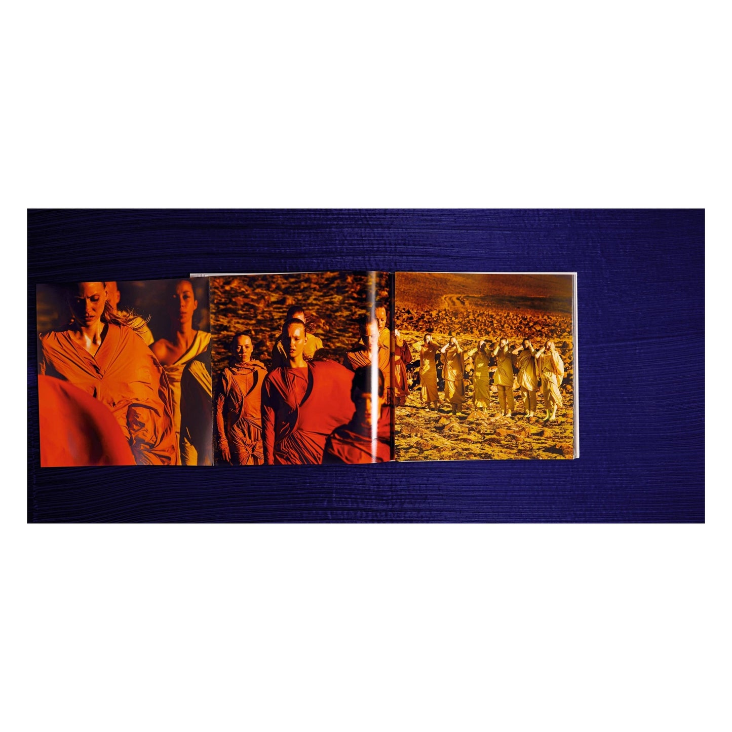 Issey Miyake (English, Japanese) (SA)