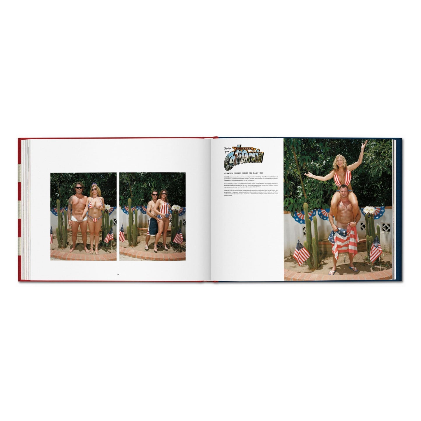 Naomi Harris. America Swings, Art Edition No. 51–100 ‘Barbecue’ (German, French, English)