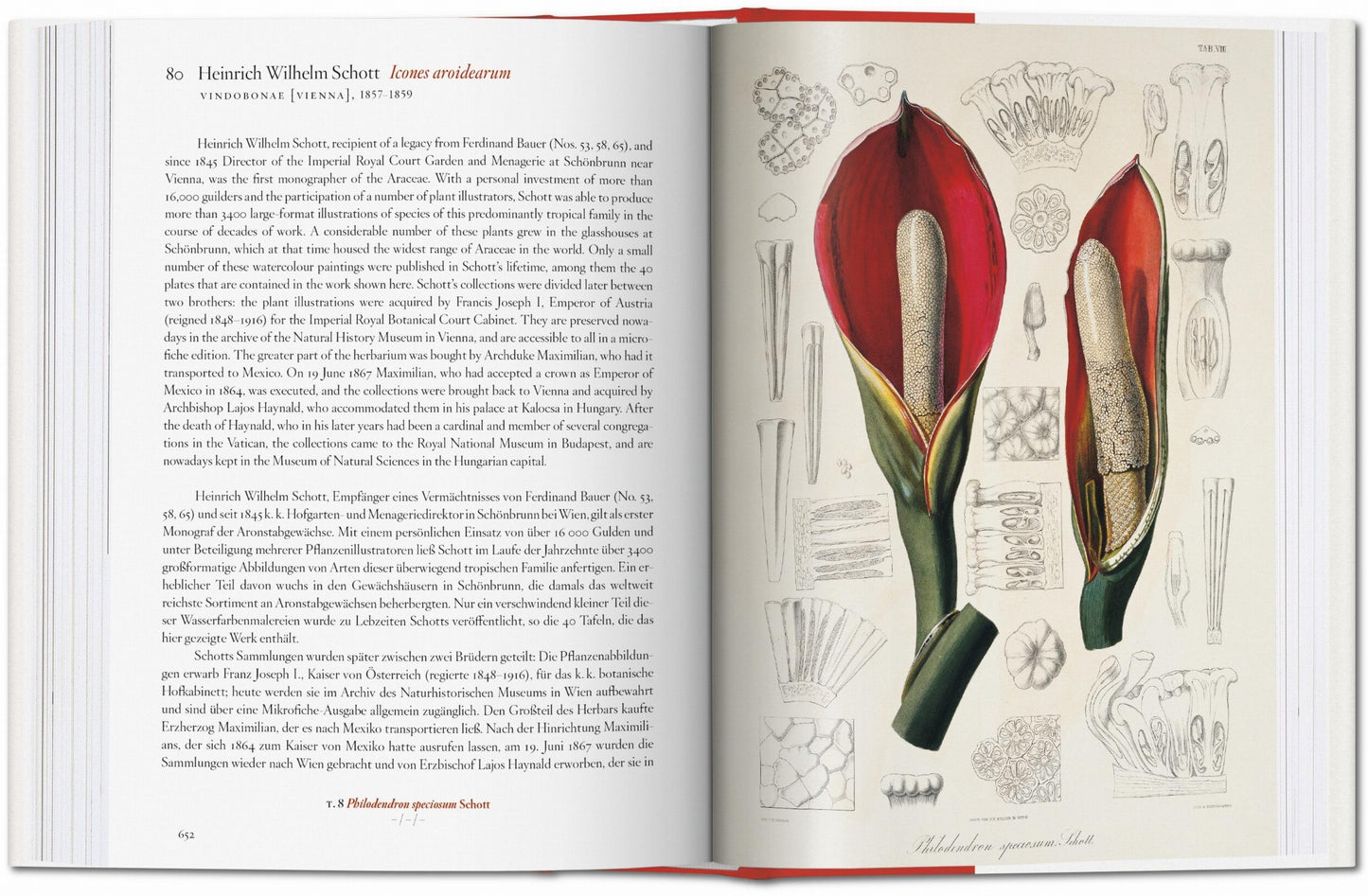 A Garden Eden. Masterpieces of Botanical Illustration. 40th Ed. (German, French, English)