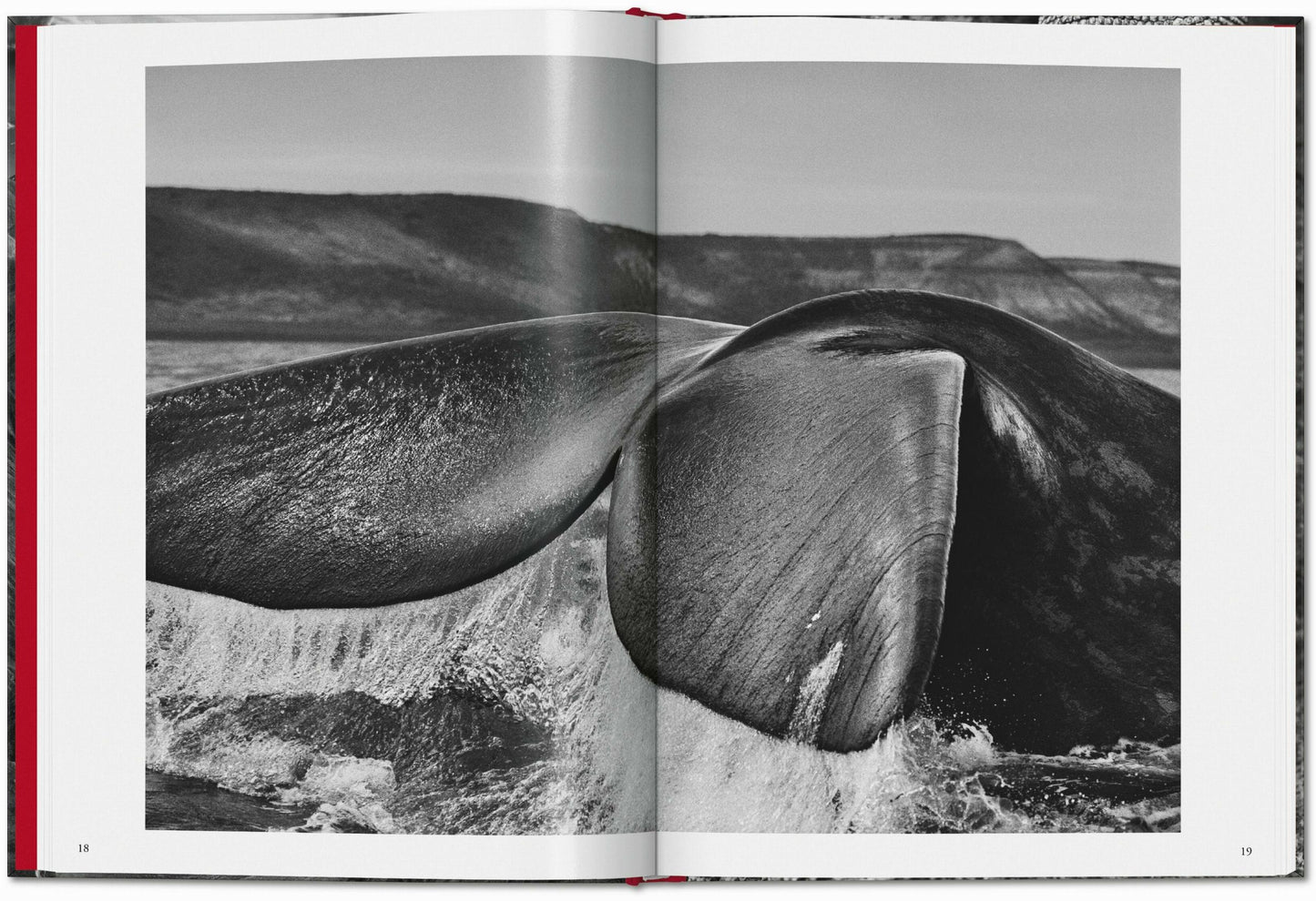 Sebastião Salgado. Genesis (French)