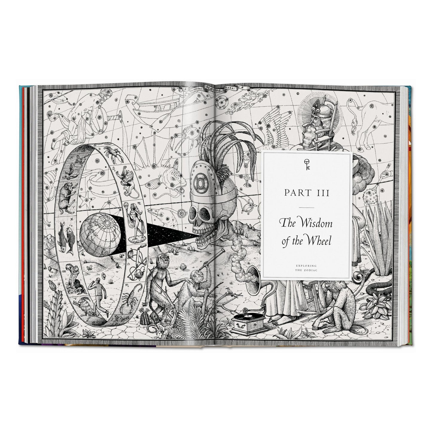 Astrology. The Library of Esoterica (English)