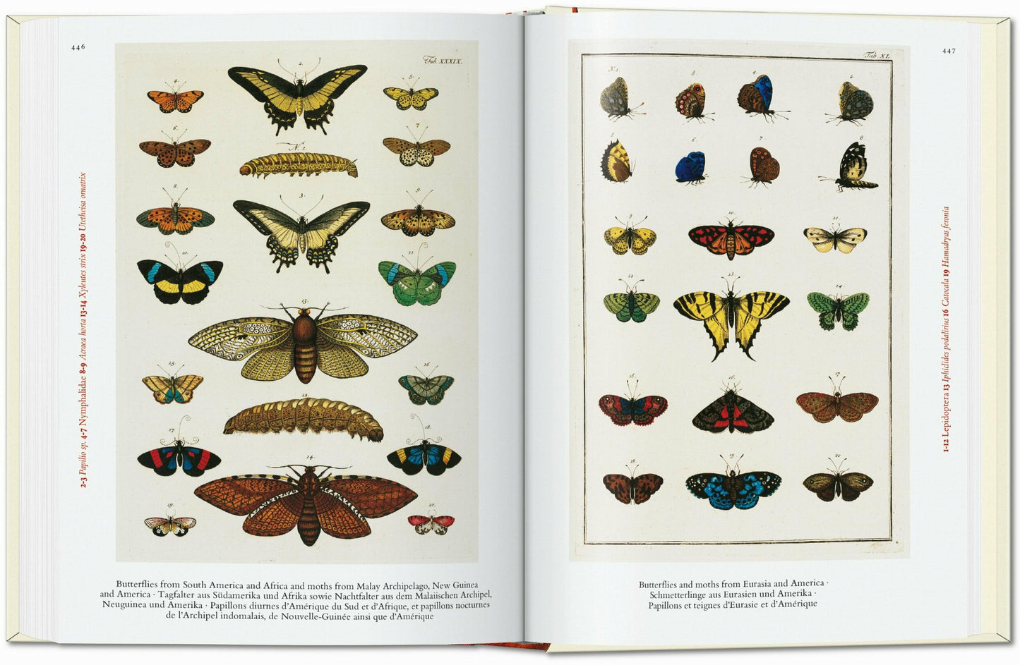 Seba. Cabinet of Natural Curiosities. 40th Ed. (German, French, English)