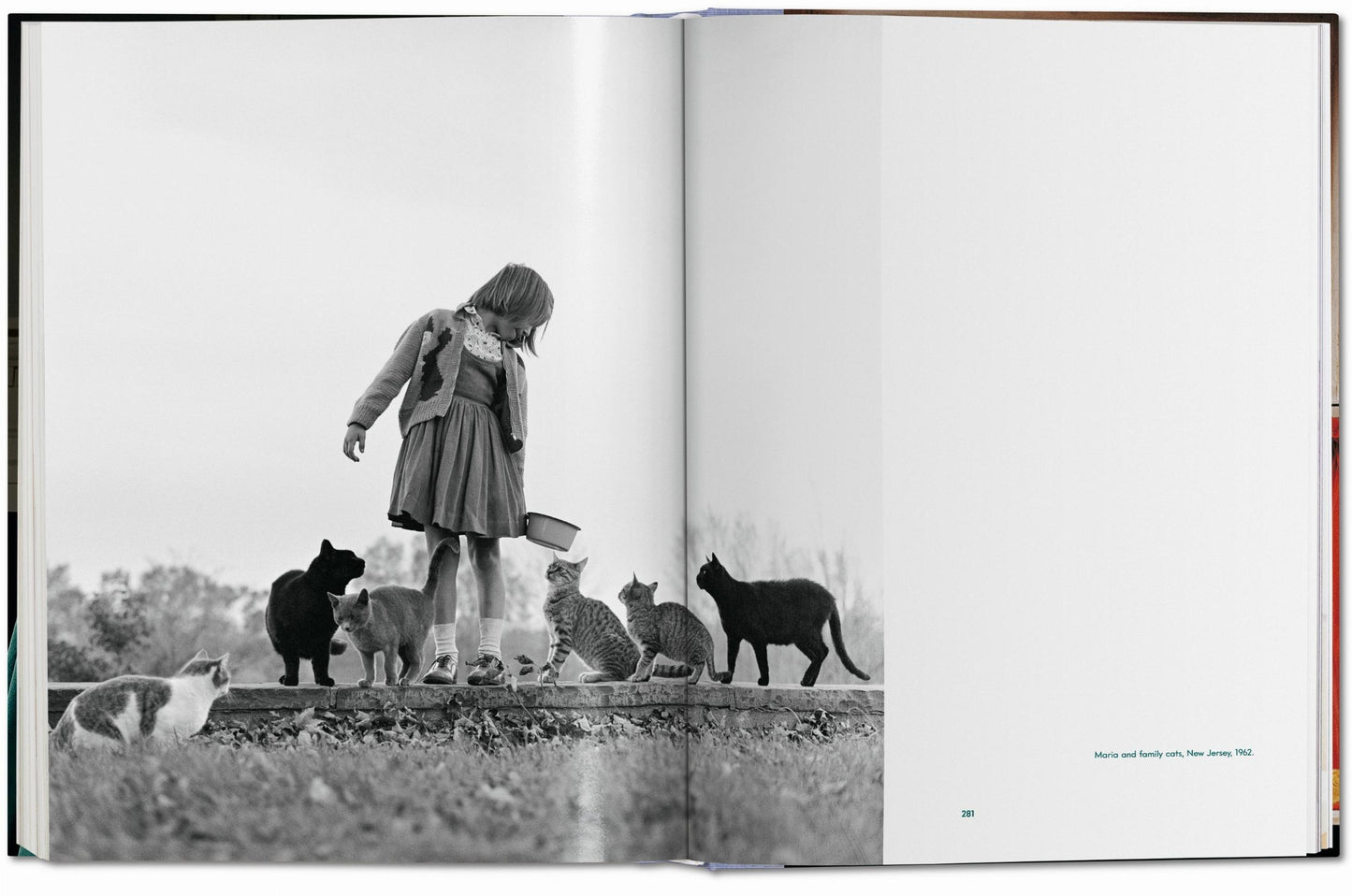 Walter Chandoha. Cats. Photographs 1942–2018 (German, French, English)