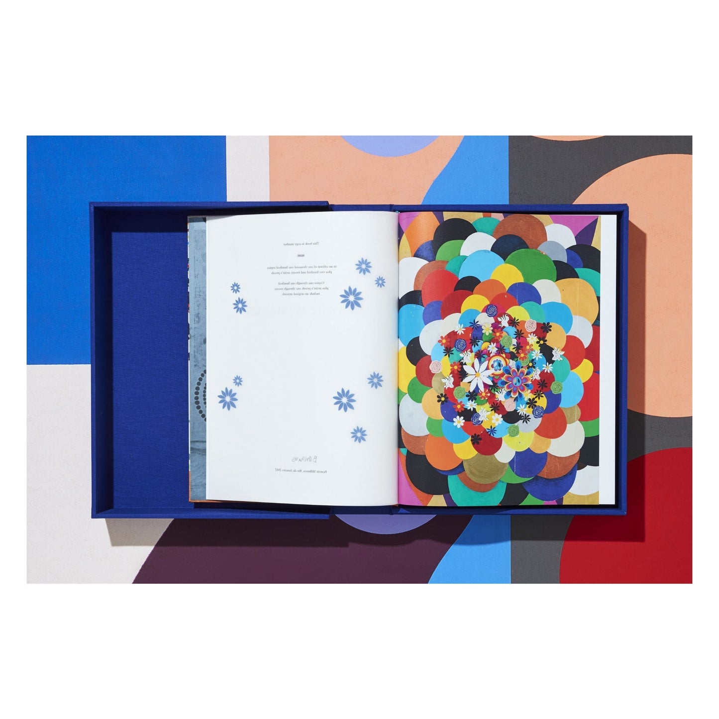 Beatriz Milhazes. Art Edition (German, French, English) (AP)