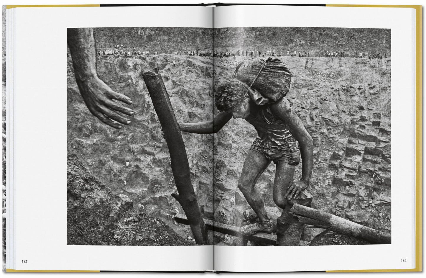 Sebastião Salgado. Gold (German, French, English)