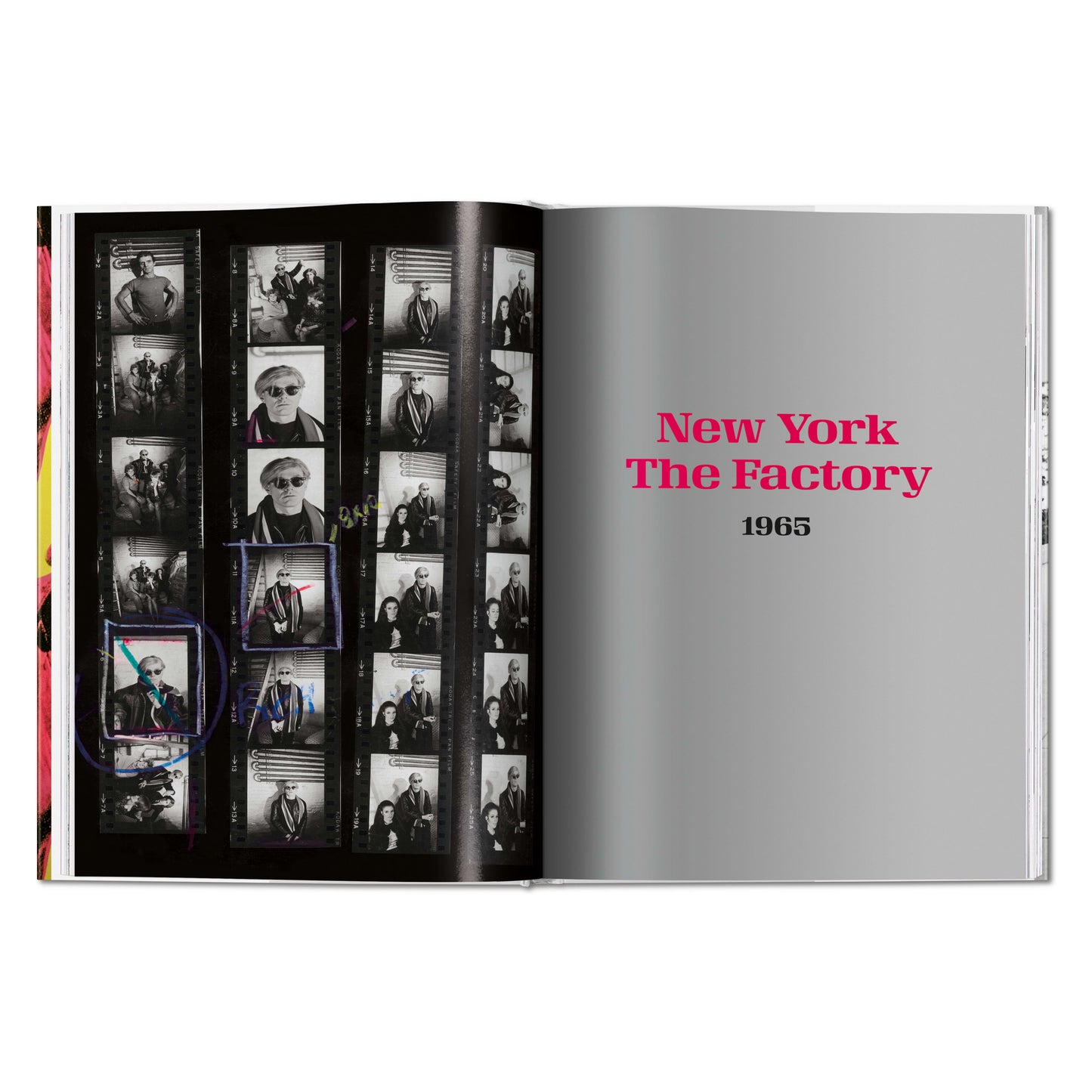 Steve Schapiro. Andy Warhol and Friends (English)