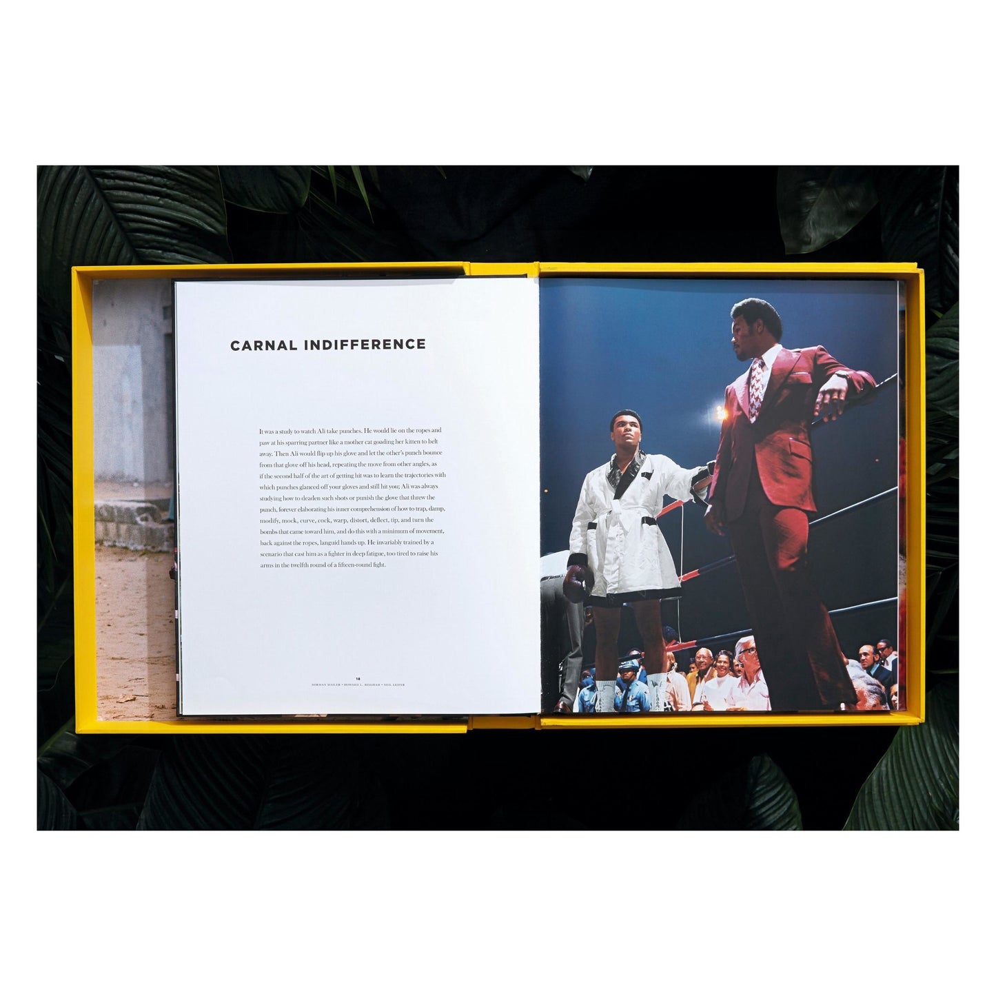 Norman Mailer. Neil Leifer. Howard L. Bingham. The Fight (English) (SA)