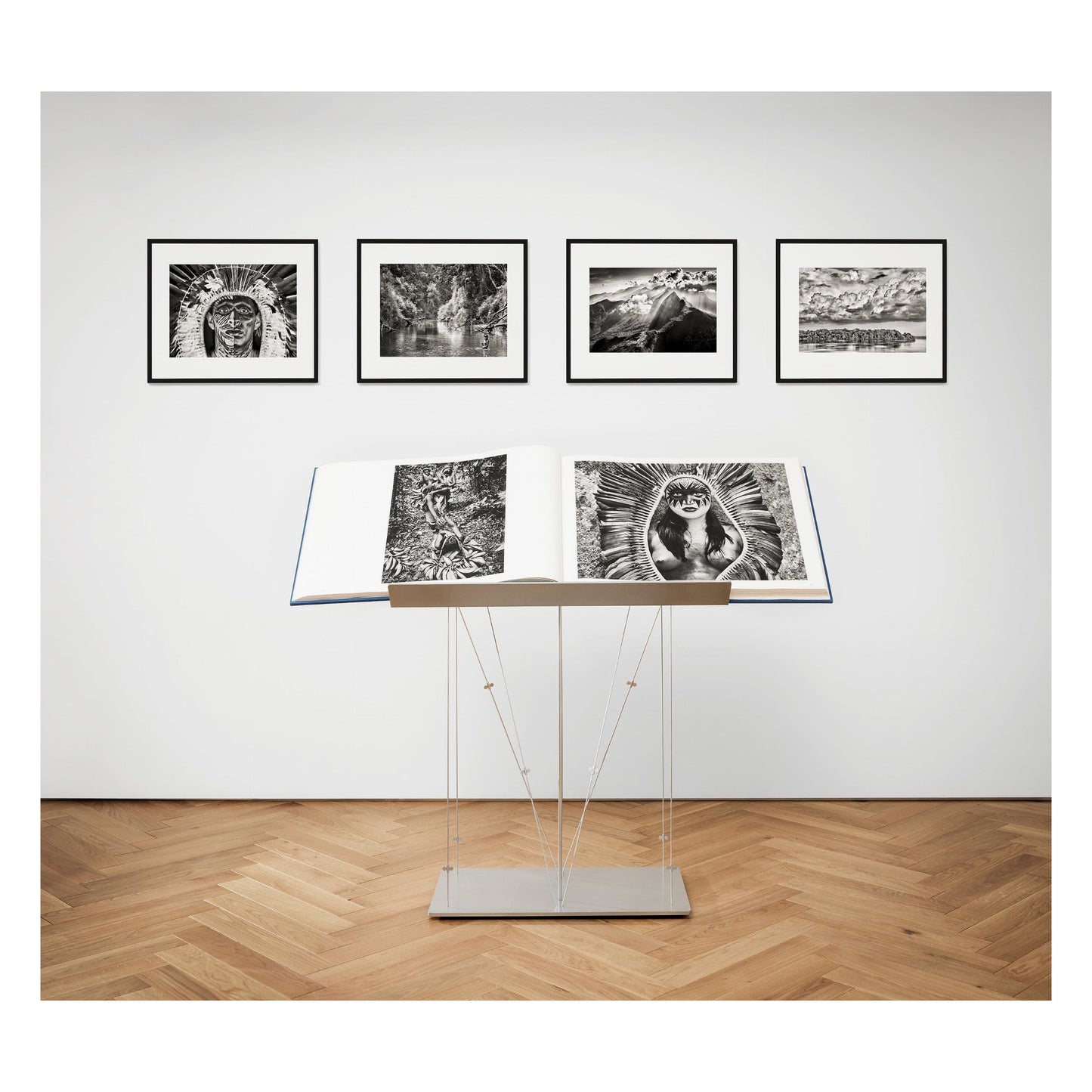 Sebastião Salgado. Amazônia, Art Edition No. 201–300 ‘Marauiá Mountain Range’ (English)