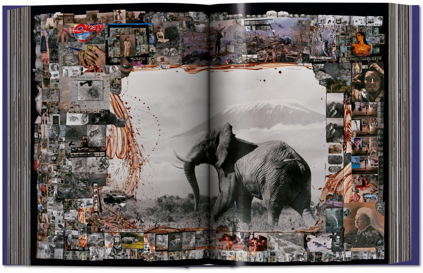 Peter Beard (German, French, English)