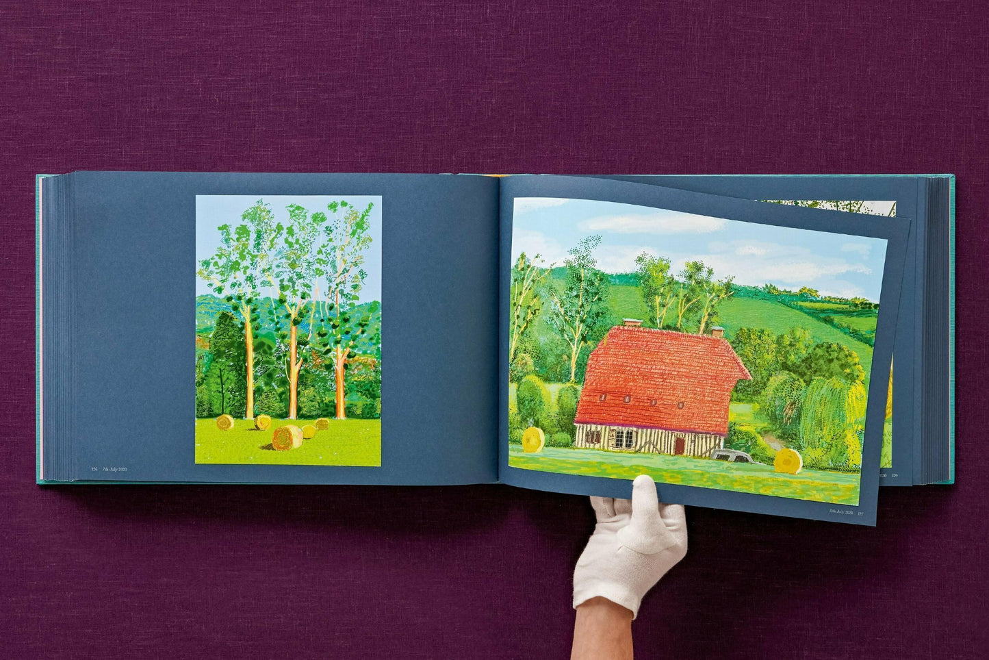 David Hockney. 220 for 2020 (English) (AP)