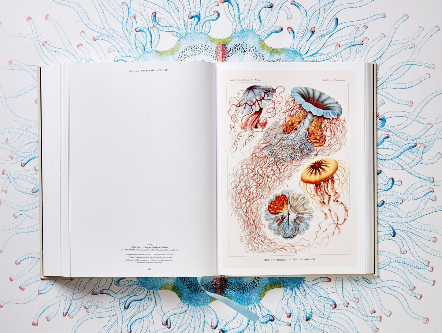 The Art and Science of Ernst Haeckel (German, French, English)