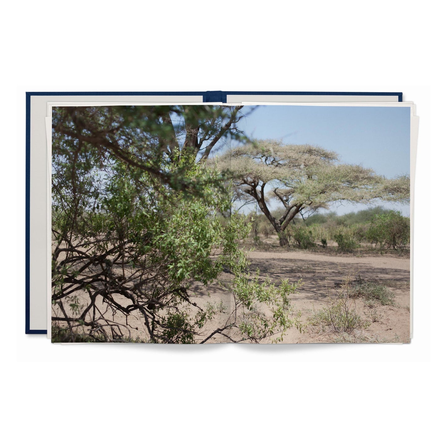 Wolfgang Tillmans. Neue Welt. Art Edition (German, French, English) (AP)